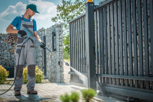 Best Fence Cleaning  in Taylorvle, IL