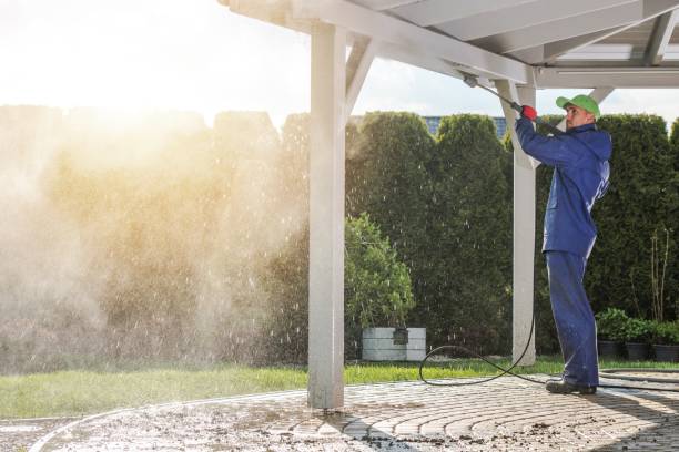 Best Animal Enclosure Cleaning  in Taylorvle, IL