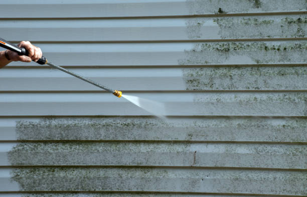 Best Post-Construction Pressure Washing  in Taylorvle, IL
