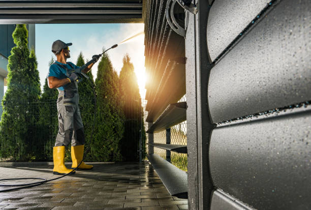 Best Patio and Deck Pressure Washing  in Taylorvle, IL
